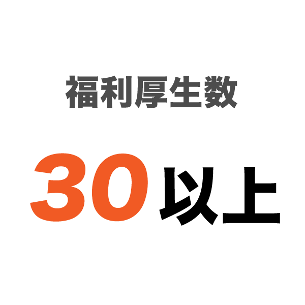 福利厚生数 30以上